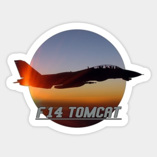 F-14 Tomcat Jet Fighters Sticker